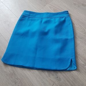 Ann Taylor skirt